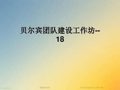 贝尔宾团队建设工作坊--18