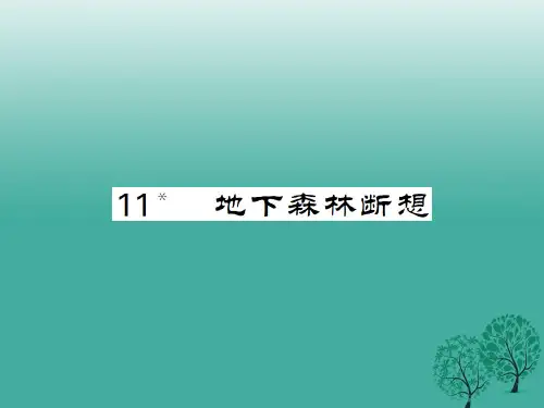 九年级语文下册 第三单元 11《地下森林断想》课件 (新版)新人教版2
