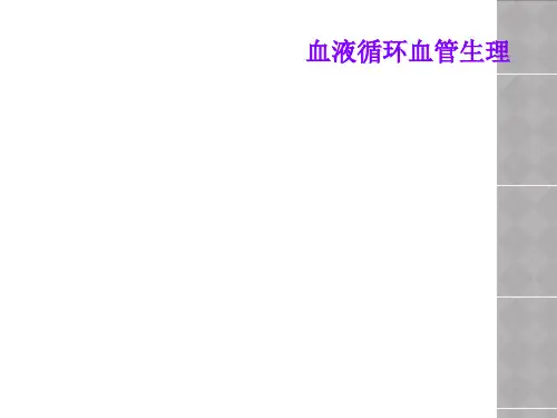 血液循环血管生理