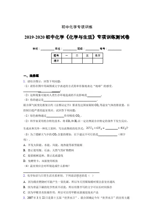 2019-2020学年初中化学《化学与生活》专项训练模拟测试(含答案) (74)