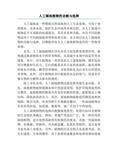 人工湿地植物的功能与选择