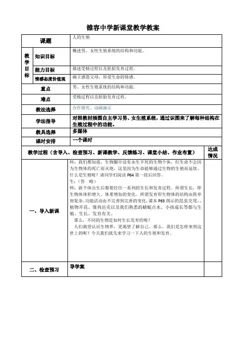人的生殖