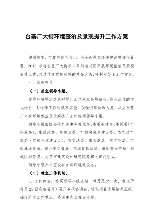 大街环境整治及景观提升工作方案