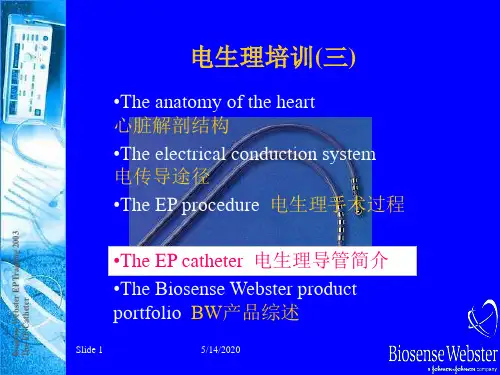 D3_电生理导管