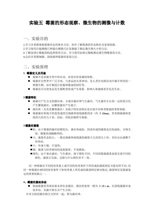 实验五 霉菌的形态观察