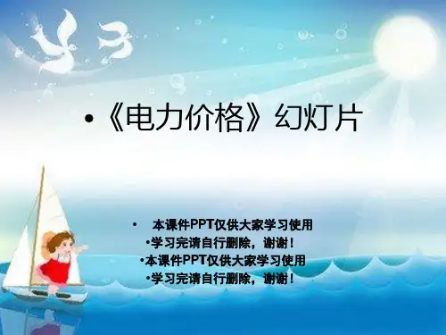 《电力价格》幻灯片