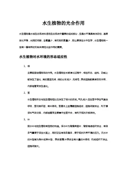 水生植物的光合作用