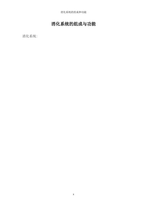 消化系统的组成和功能 2