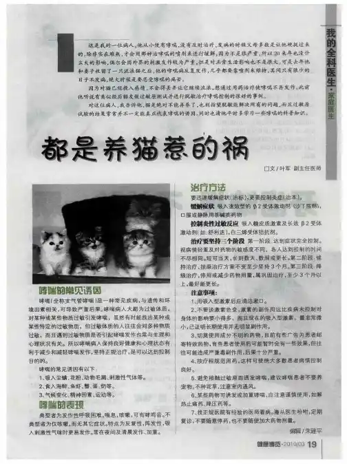 都是养猫惹的祸