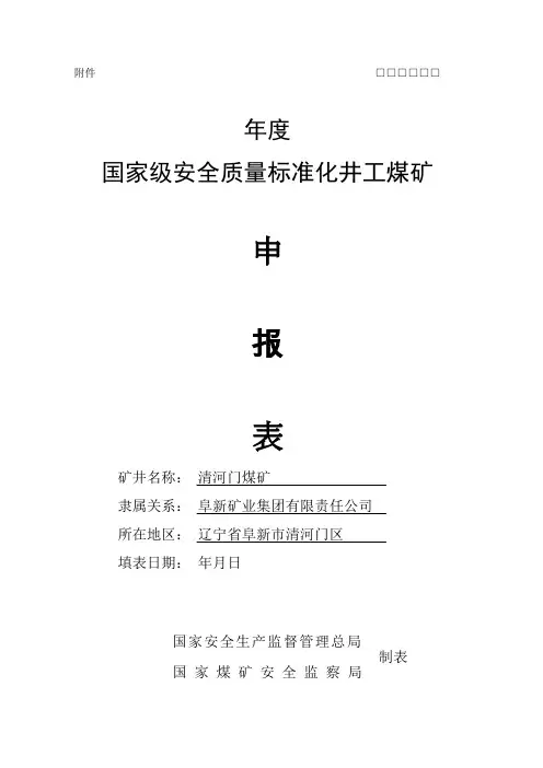 国家煤矿申报表