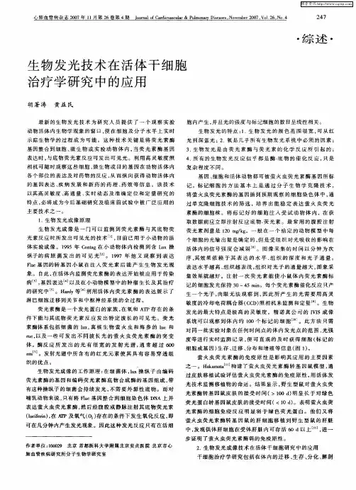 生物发光技术在活体干细胞治疗学研究中的应用