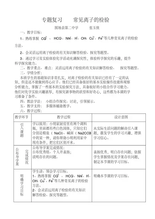 人教版初三化学下册专题复习《常见离子的检验》