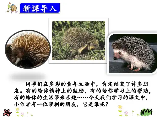三年级语文上册:23.带刺的朋友教学课件