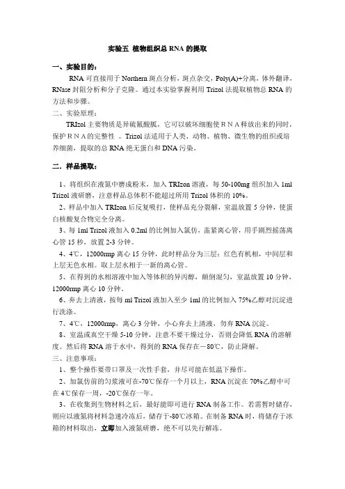组织总RNA的提取
