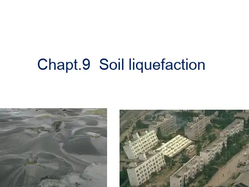 chapt.9 sand liquection
