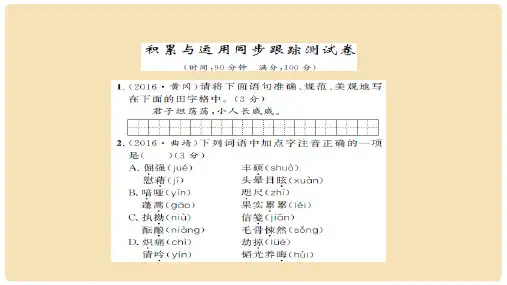 中考语文 积累与运用同步跟踪测试课件