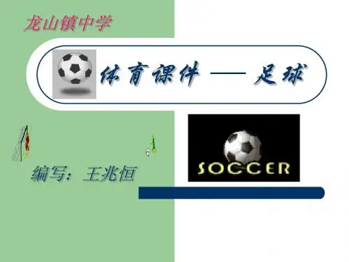 课件 王兆恒