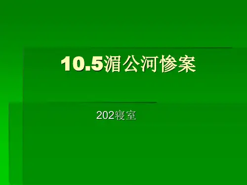 湄公河惨案