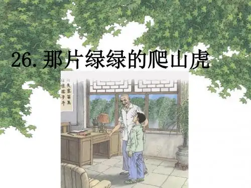 人教版小学语文四年级上册《第七组：26那片绿绿的爬山虎》优质课课件_4