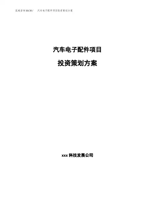 汽车电子配件项目投资策划方案范文