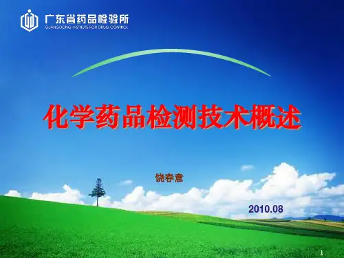 2010年版药典化学药品检测技术概述资料