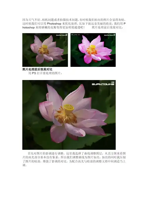 花卉后期处理技巧