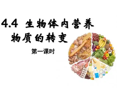 糖类代谢和脂肪代谢
