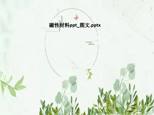 磁性材料ppt_图文