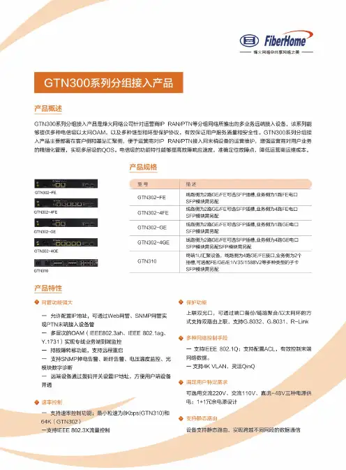 GTN300系列分组接入产品