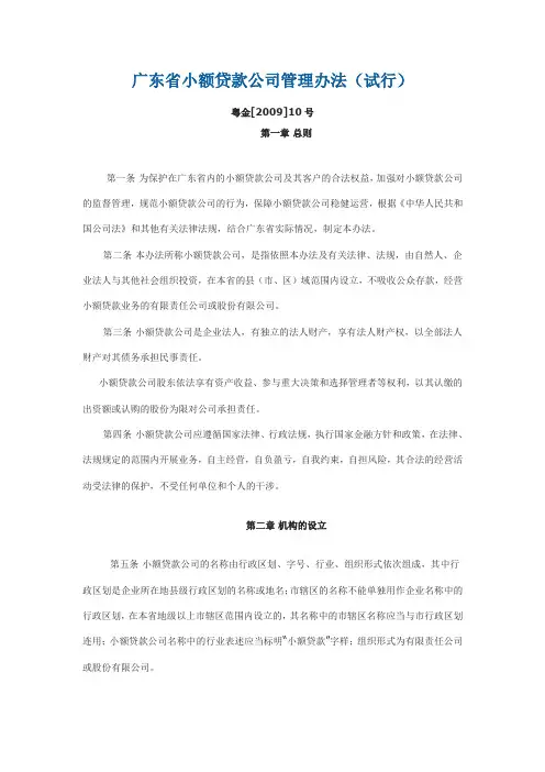 广东省小额贷款公司管理办法(试行)