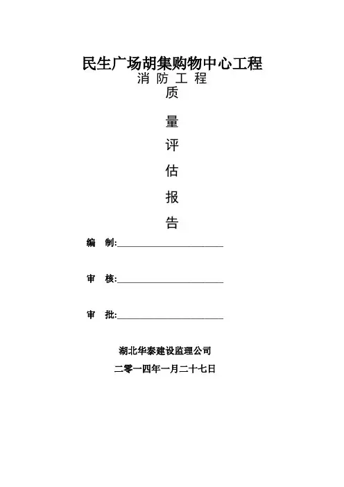 消防评估报告 2