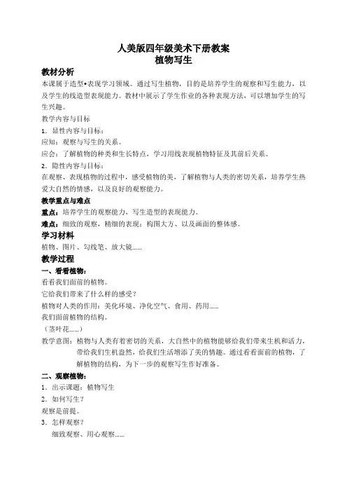 人美版四年级下册美术教案《植物写生》