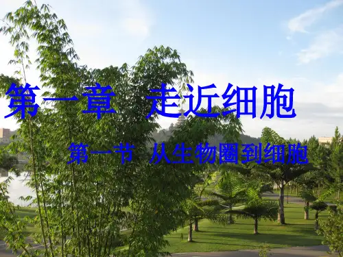从生物圈到细胞课件新人教版
