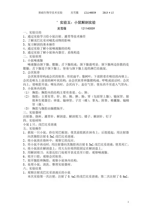小鼠解剖实验报告
