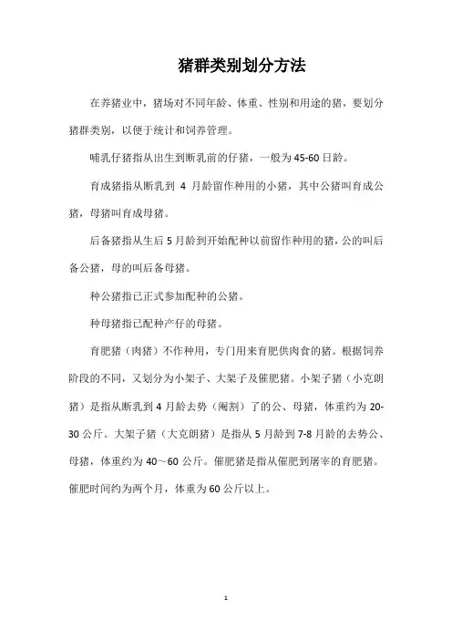 猪群类别划分方法