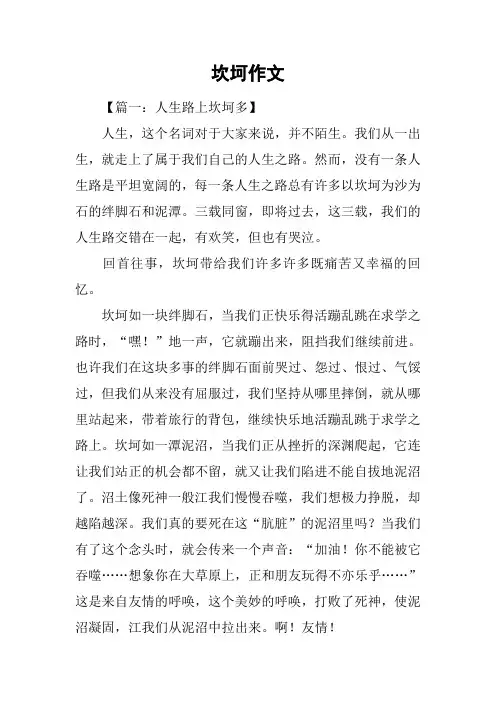 坎坷作文