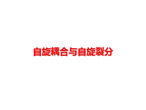 3--NMR-J偶合