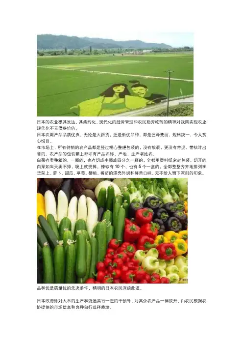 日本现代农业