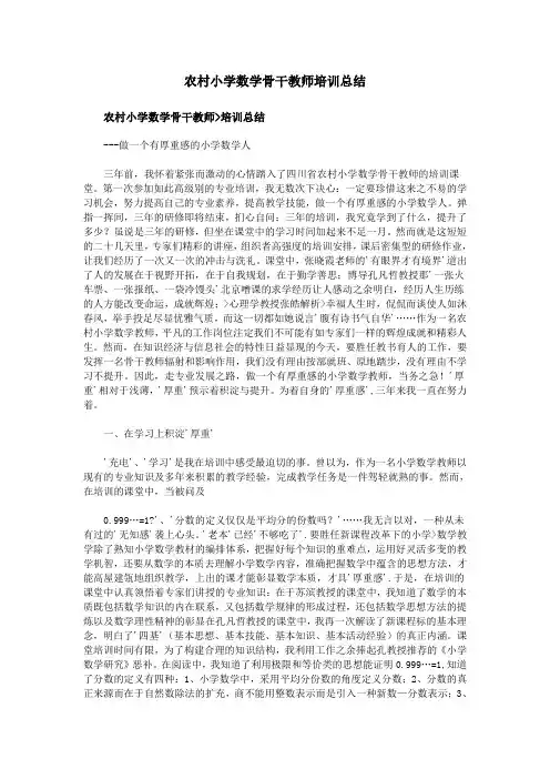 农村小学数学骨干教师培训总结