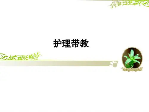 护理带教ppt课件