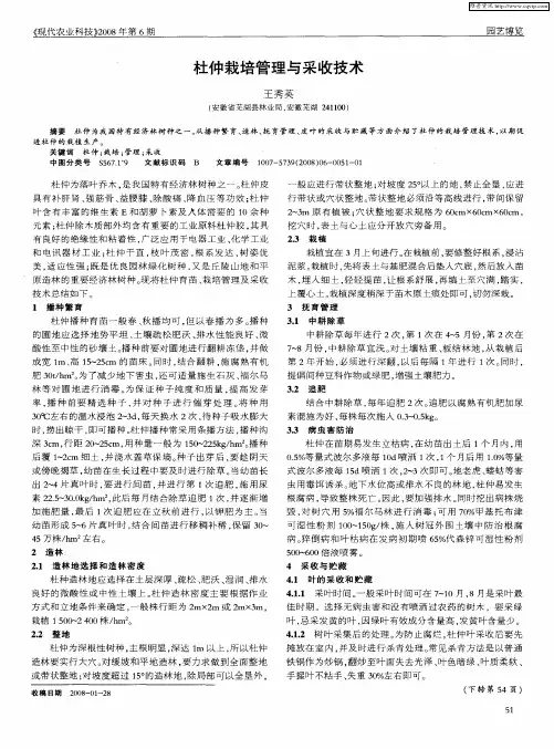 杜仲栽培管理与采收技术