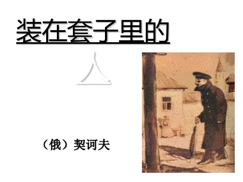 装在套子里的人