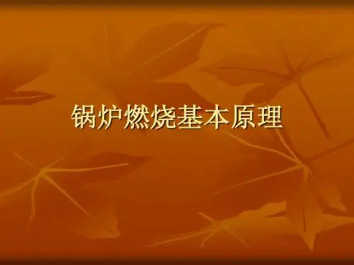 锅炉燃烧原理