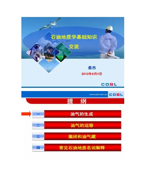 石油地质基础知识交流.