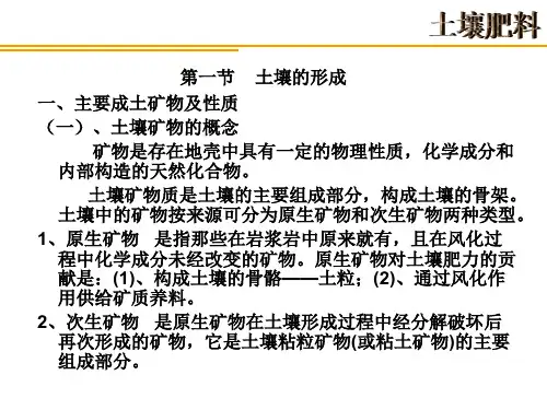 土壤中的次生矿物