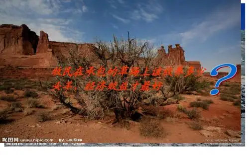 必修3 第4章 种群与群落