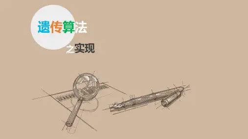 12.2 遗传算法之实现