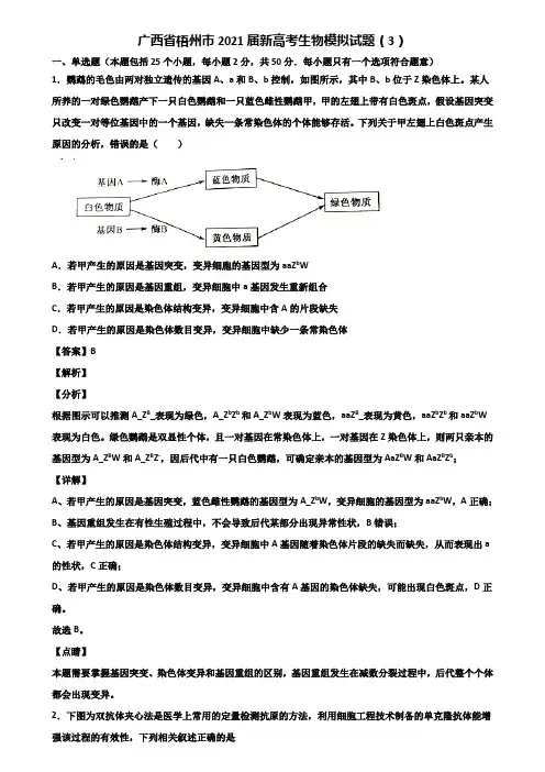 广西省梧州市2021届新高考生物模拟试题(3)含解析