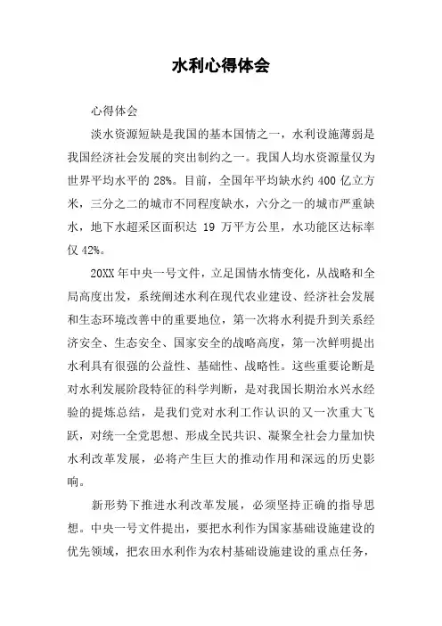 水利心得体会