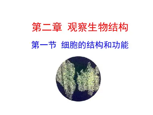 济南版七年级生物上册  第一单元第二章第一节  细胞的结构和功能